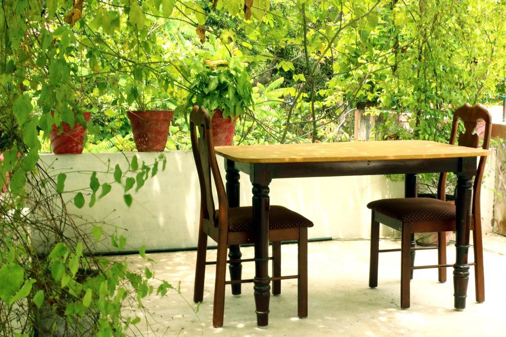 Marari Beach Pearl Homestay Mararikulam Exterior photo